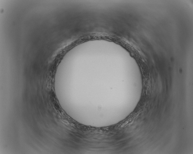 X0000088401207200706191349