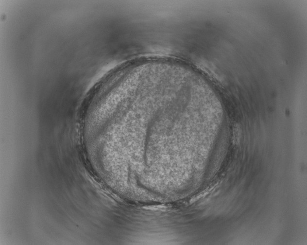 X0000088401208200706191349