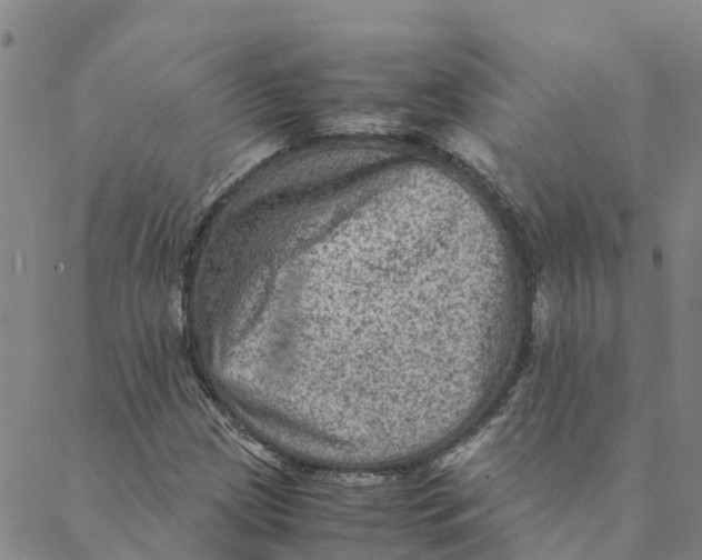 X0000088401209200706191349