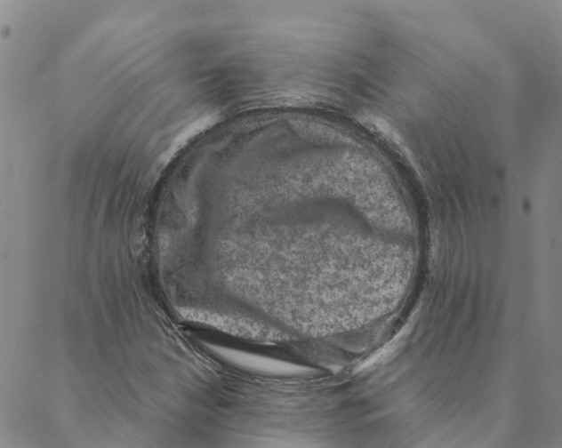 X0000088401210200706191349