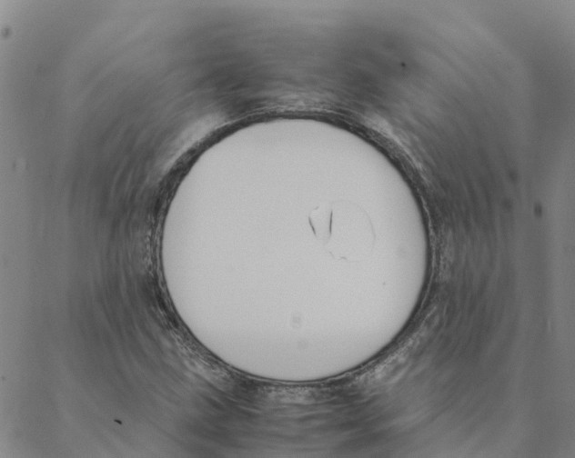 X0000088401211200706191349