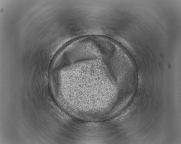 X0000088401212200706191349