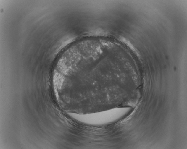 X0000088401213200706191349