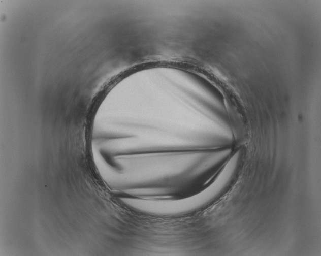 X0000088401214200706191349