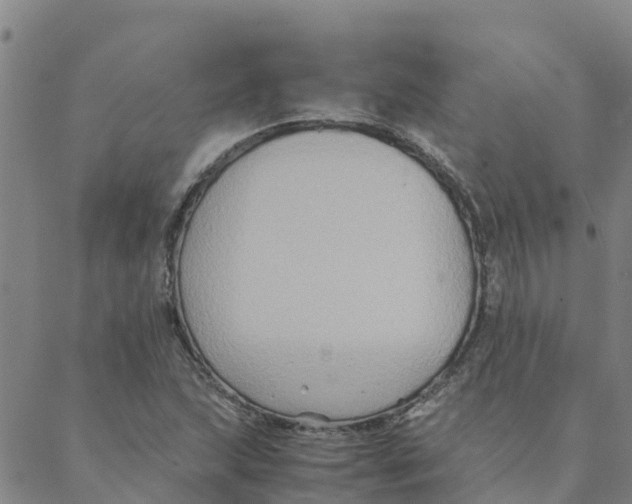 X0000088401215200706191349