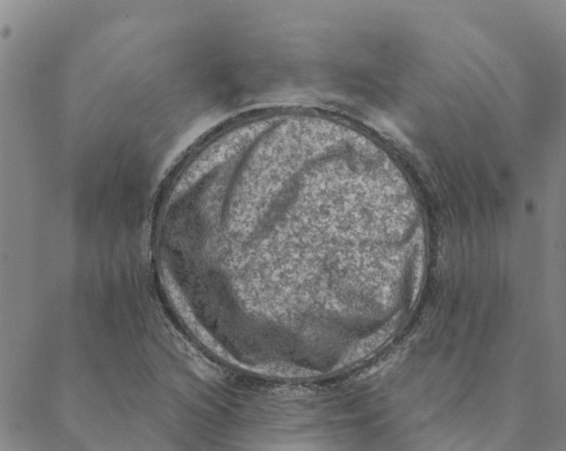 X0000088401216200706191349