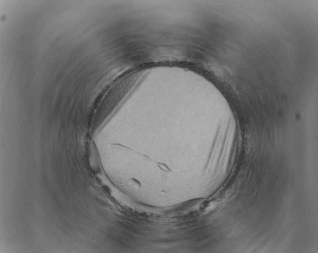 X0000088401217200706191349