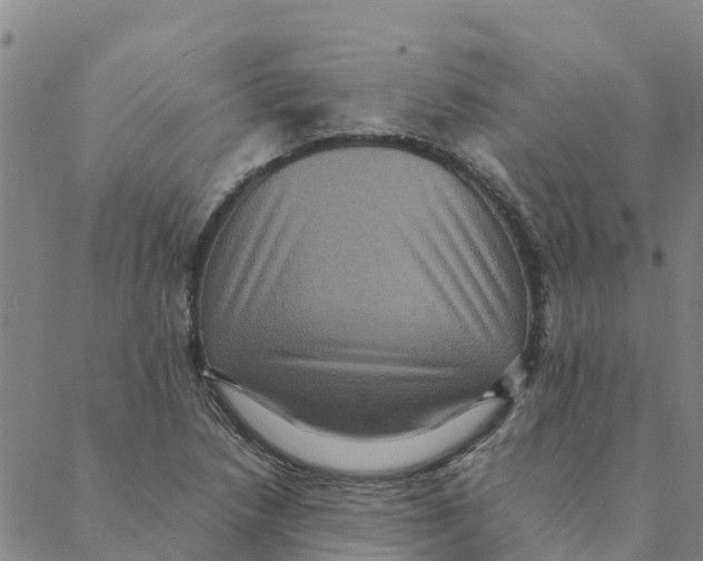 X0000088401218200706191349