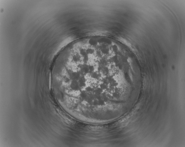 X0000088401219200706191349