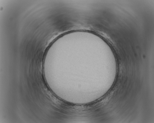 X0000088401220200706191349