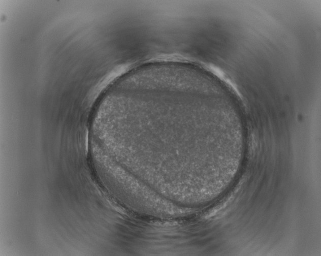 X0000088401221200706191349