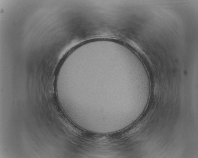 X0000088401222200706191349