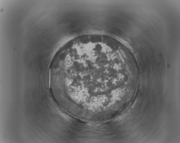 X0000088401223200706191349