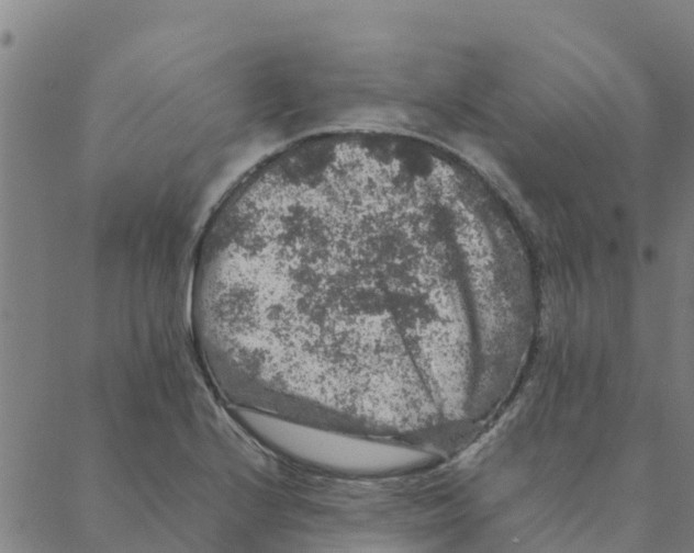 X0000088401224200706191349