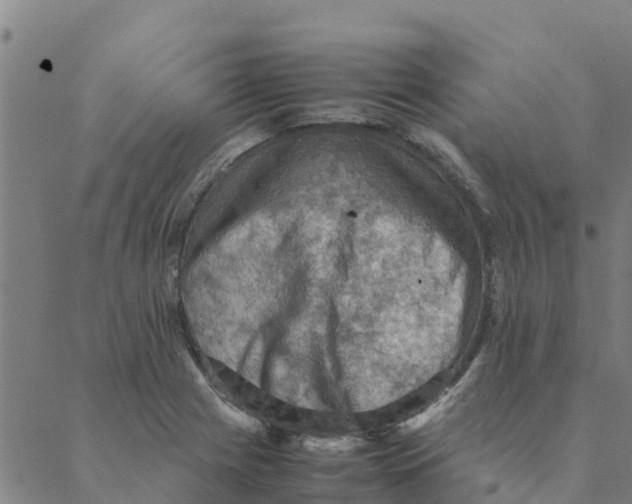 X0000088401225200706191349