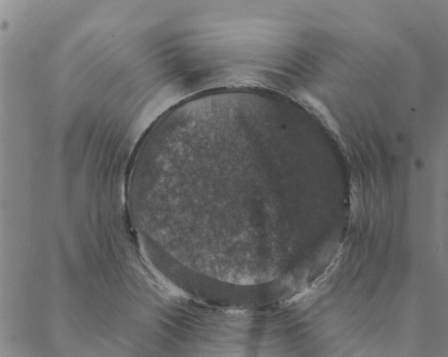 X0000088401226200706191349