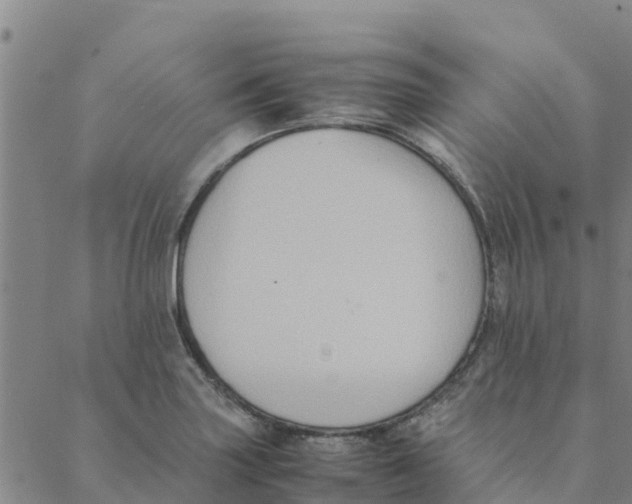 X0000088401227200706191349