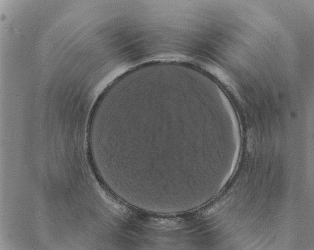 X0000088401229200706191349