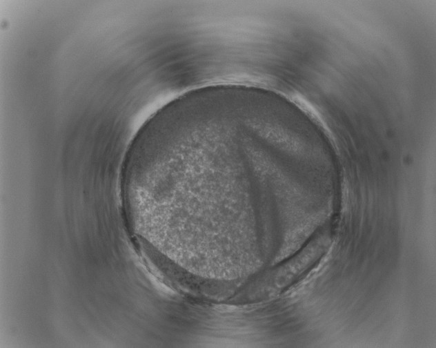 X0000088401230200706191349