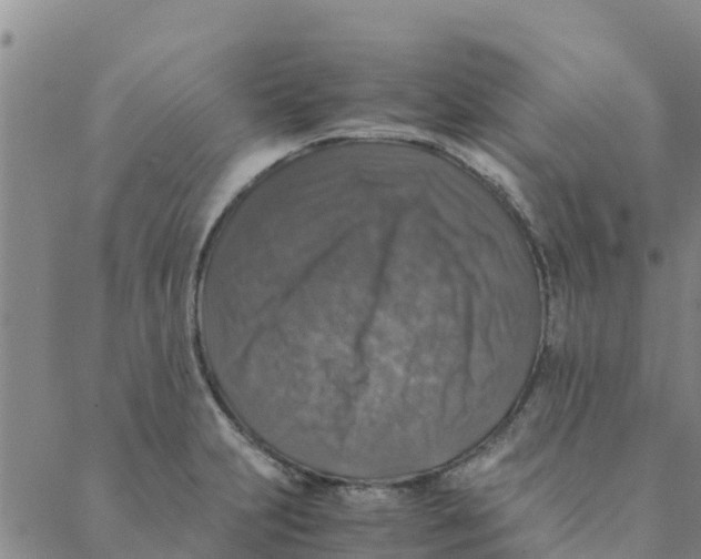 X0000088401231200706191349