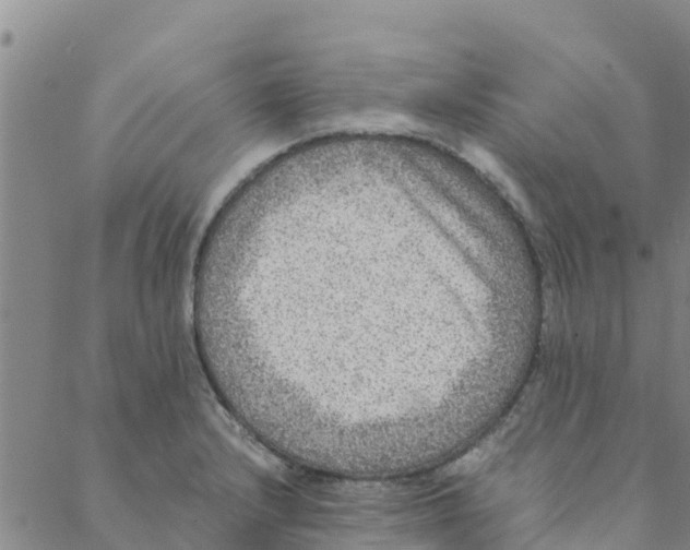 X0000088401232200706191349