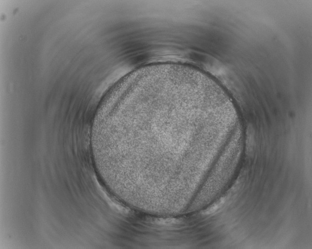 X0000088401233200706191349