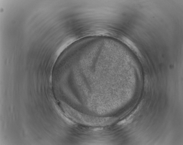 X0000088401234200706191349