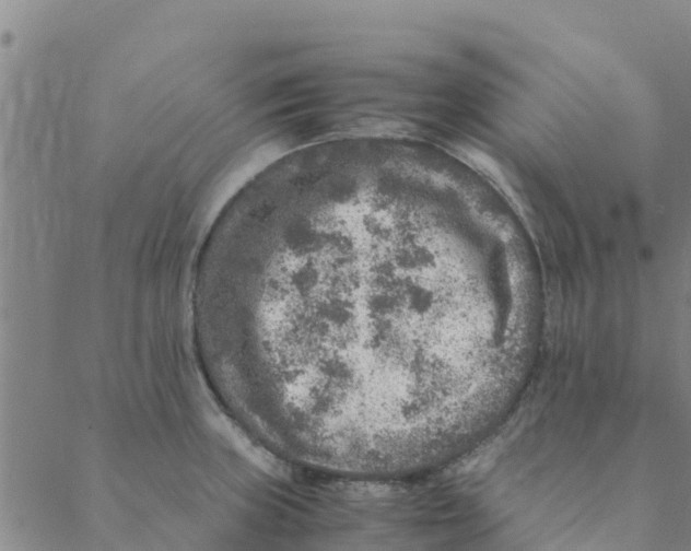 X0000088401235200706191349