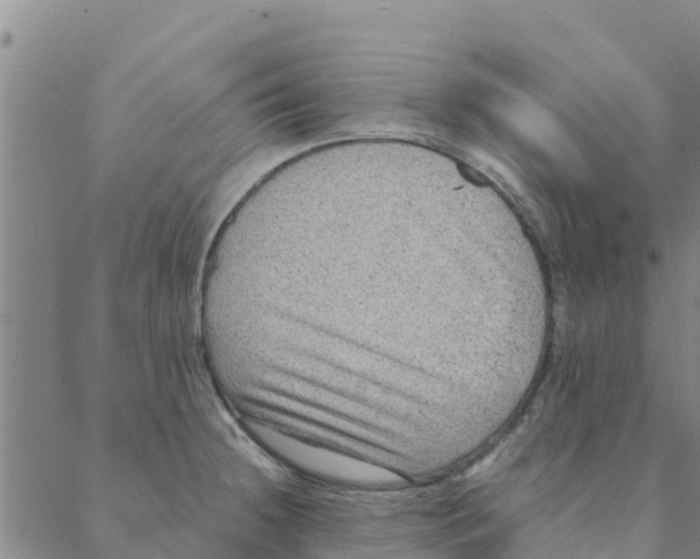 X0000088401236200706191349