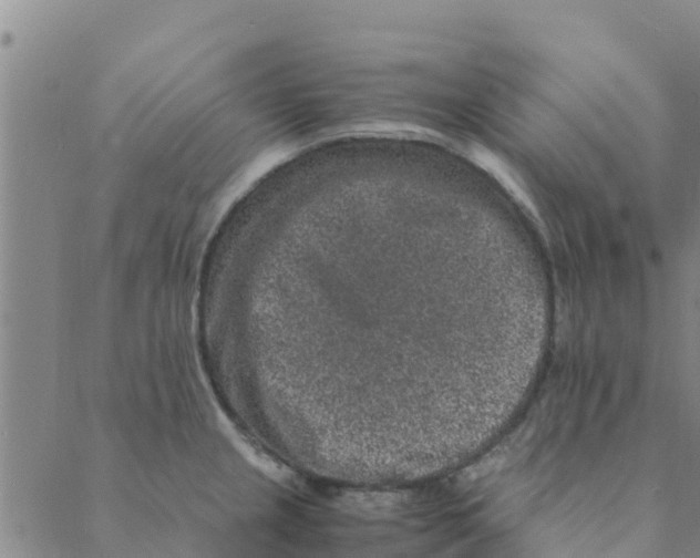 X0000088401237200706191349