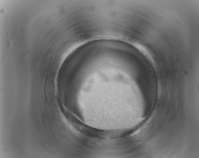 X0000088401238200706191349