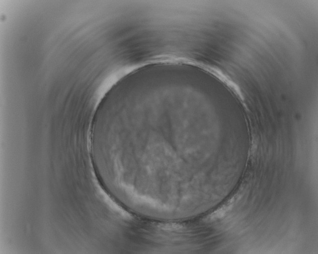 X0000088401239200706191349