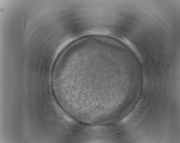 X0000088401240200706191349