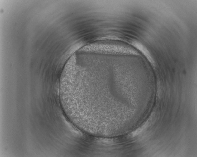 X0000088401241200706191349