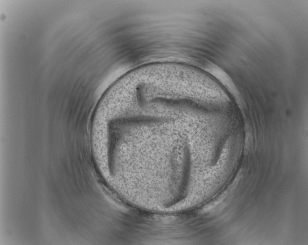 X0000088401242200706191349