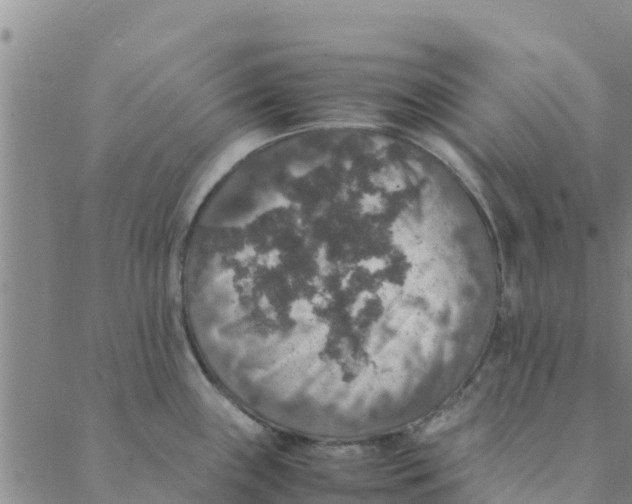 X0000088401243200706191349