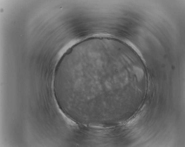 X0000088401245200706191349