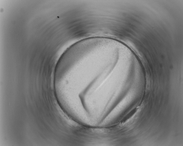 X0000088401246200706191350