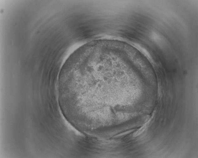 X0000088401247200706191350