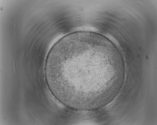 X0000088401248200706191350