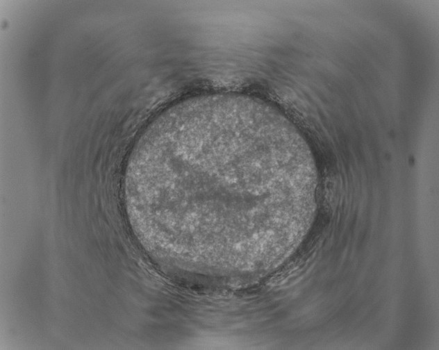 X0000088401249200706191349