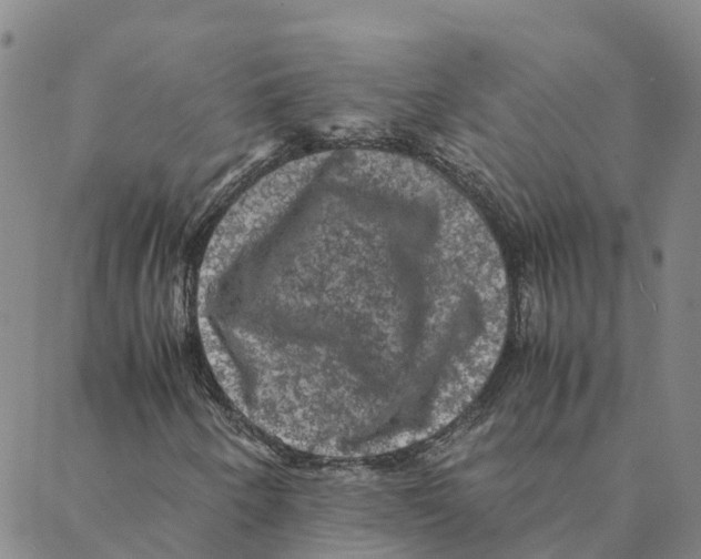 X0000088401250200706191349