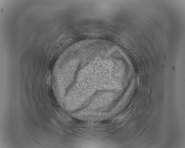 X0000088401251200706191349