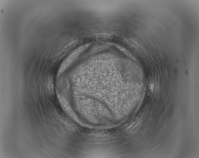 X0000088401252200706191349