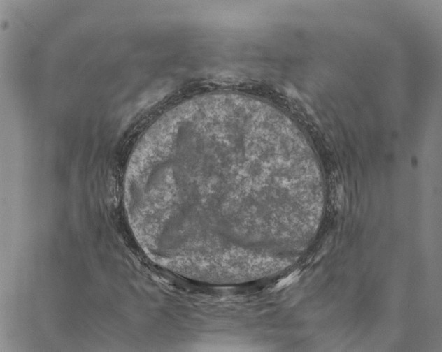 X0000088401253200706191349