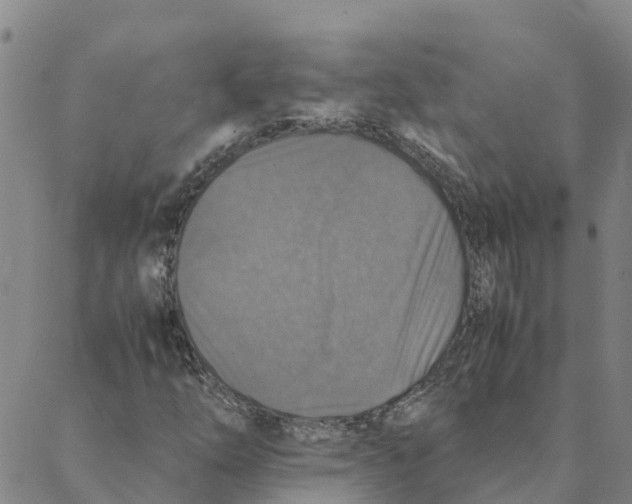 X0000088401254200706191349