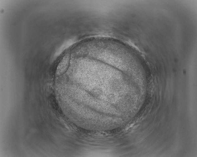 X0000088401255200706191349