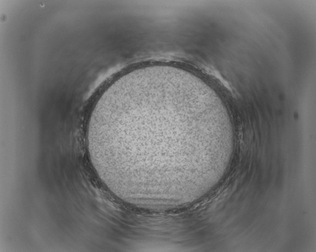 X0000088401256200706191349