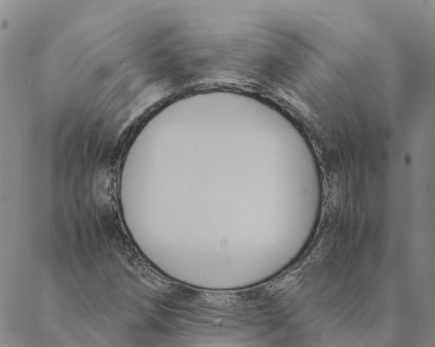 X0000088401258200706191349