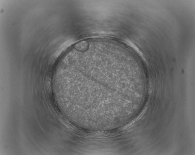 X0000088401259200706191349